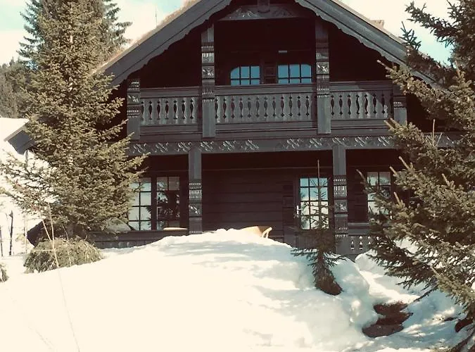 Ski And Bike-In And Out