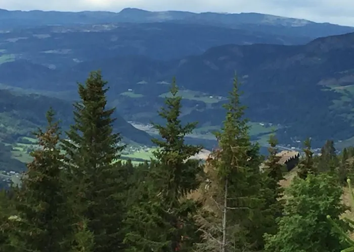 Ski And Bike-In And Out