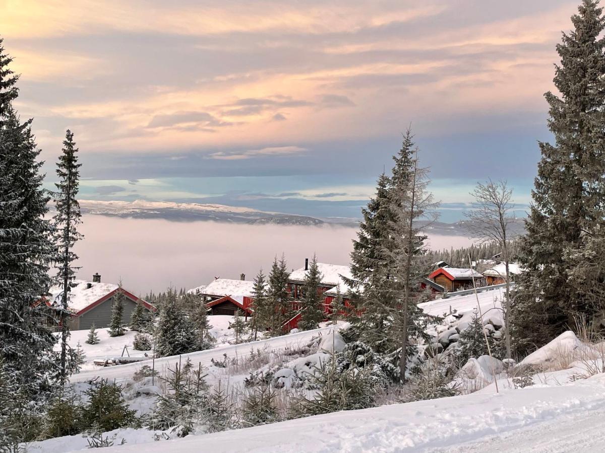 And Bike-in And Out Hafjell