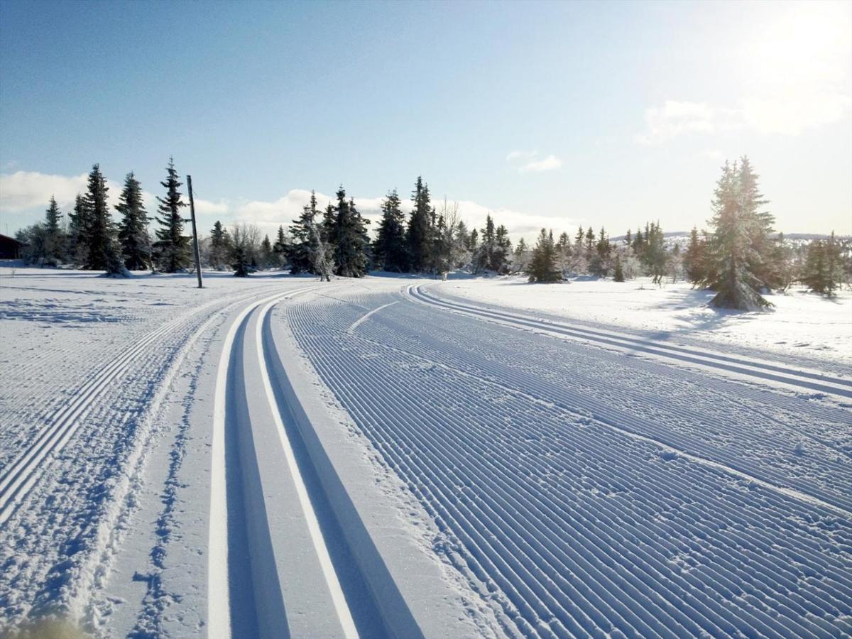 Chaleter And Bike-in And Out Hafjell