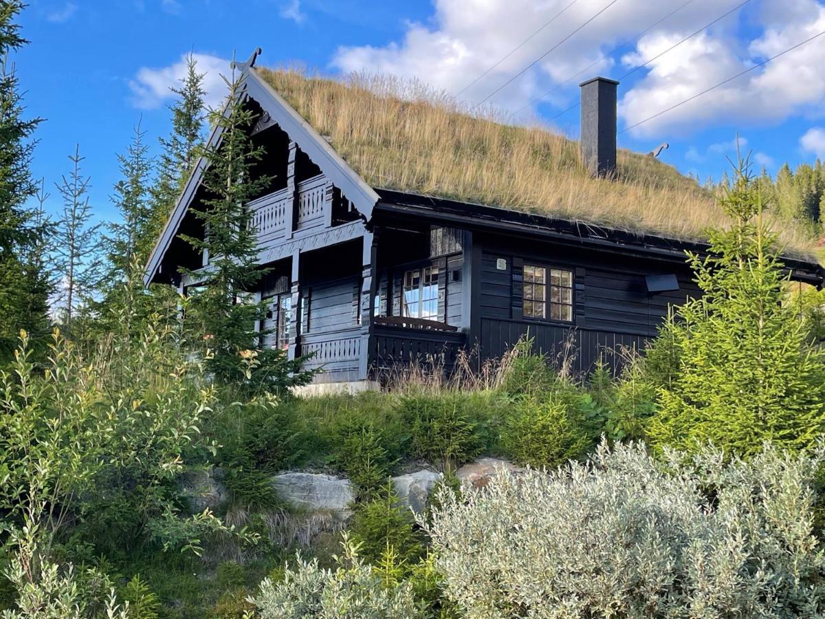And Bike-in And Out Chalet Hafjell